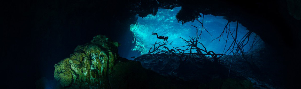 Dive The Breath Taking Cenotes of Tulum