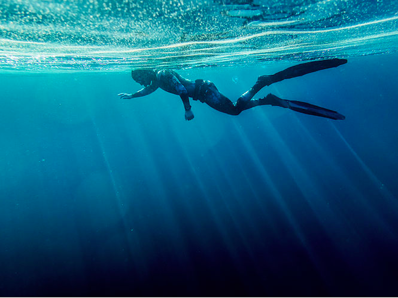 Experience Freediving